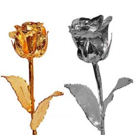 Golden Rose N Silver Rose