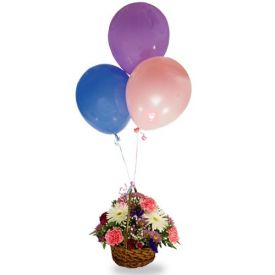 Basket of 20 mixed Gerbera and Carnation with 10 Balloons
