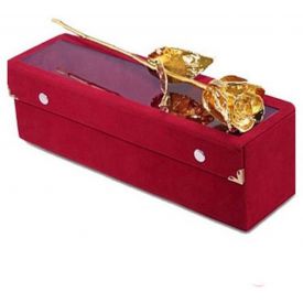 Golden Rose with velvet box