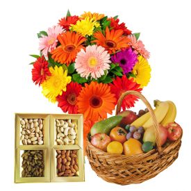 3 kg fresh fruits, 1/2 kg dry fruits and 12 mixed gerberas.