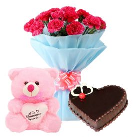 A bunch of 15 white, or pink carnation 1/2 kg chocolate cake and (12 inch lovely pink teddy bear)