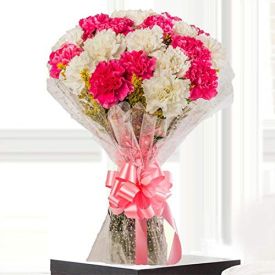 15 Pink and white Carnation with Vase