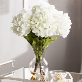 White Carnation With Vase