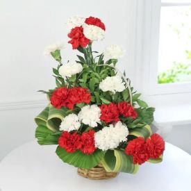 White and Red Carnation