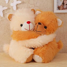 Cute Couple Teddy