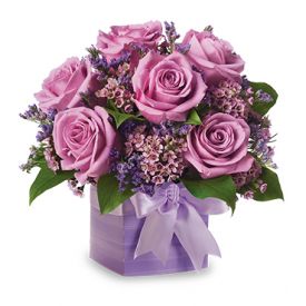 6 Purple rose with vase