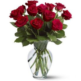 Bunch of 12 beautiful red roses.