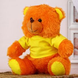 Cute Teddy : Personalized Soft Toys
