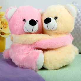 Pink and Yellow Teddy Bear Couple