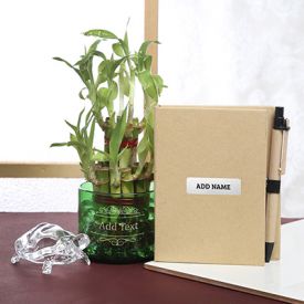 Bamboo Plant in Glass with Notepad & Tortoise