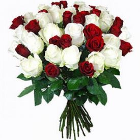 Bunch of red and white roses