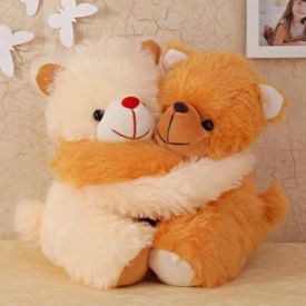 Hug day teddy