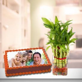 Photo Cake With Plant