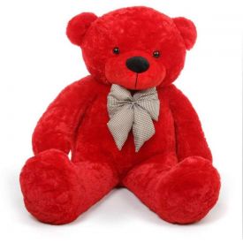 Red Big Teddy Bear
