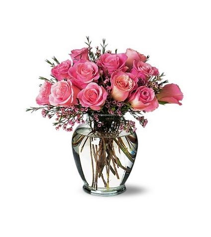 12 Pink roses with vase