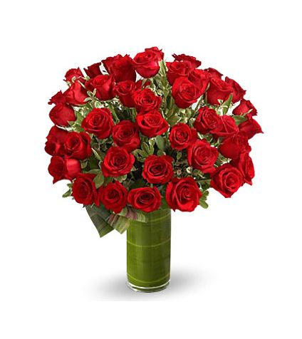 Bunch of 24 red roses with vase