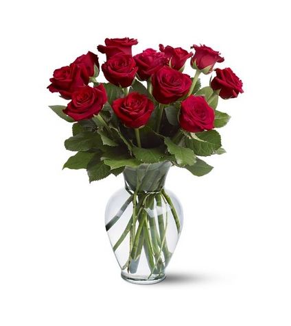 Bunch of 12 beautiful red roses.